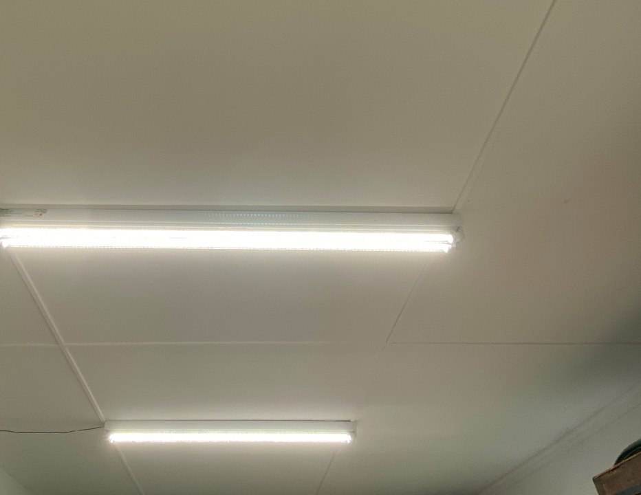 Lights.jpg